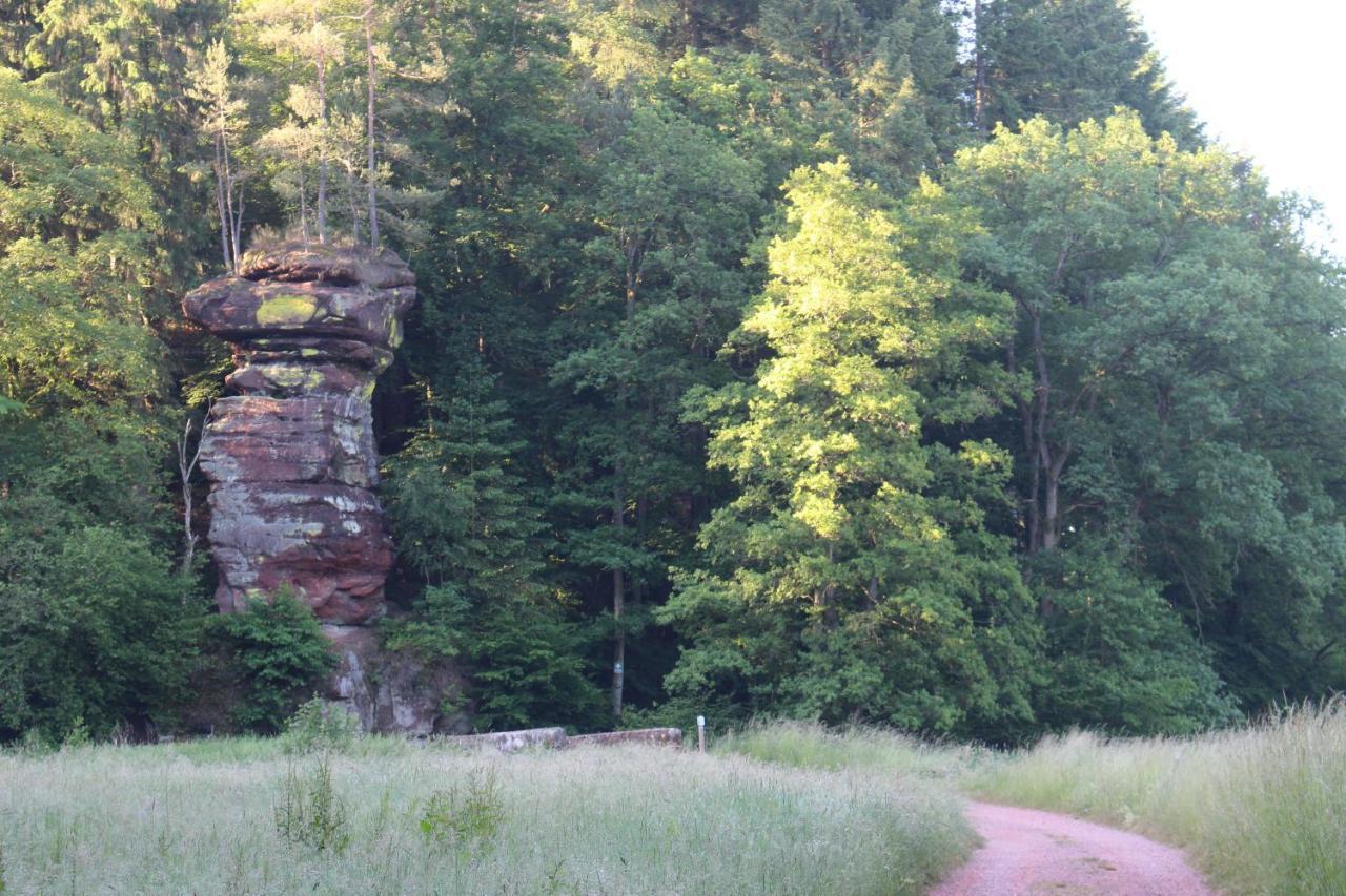Gaestehaus Herrenmuehle Freudenburg  Luaran gambar